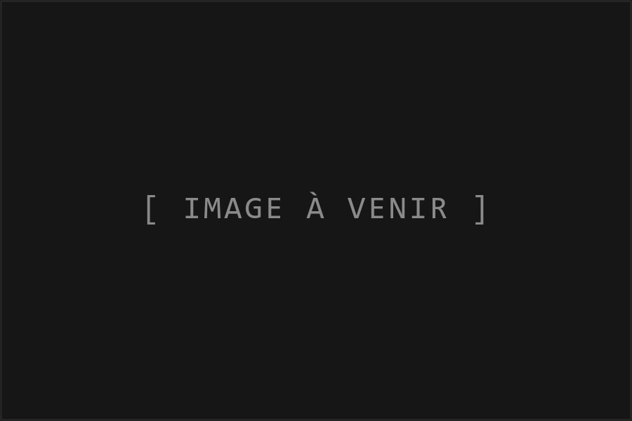 Projet C 03